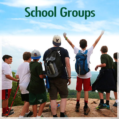 School Groups